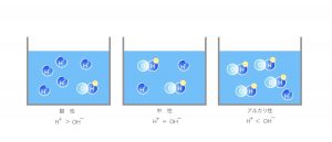 pHについて