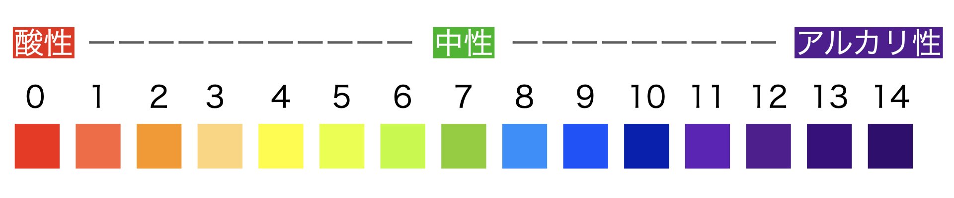 pHについて