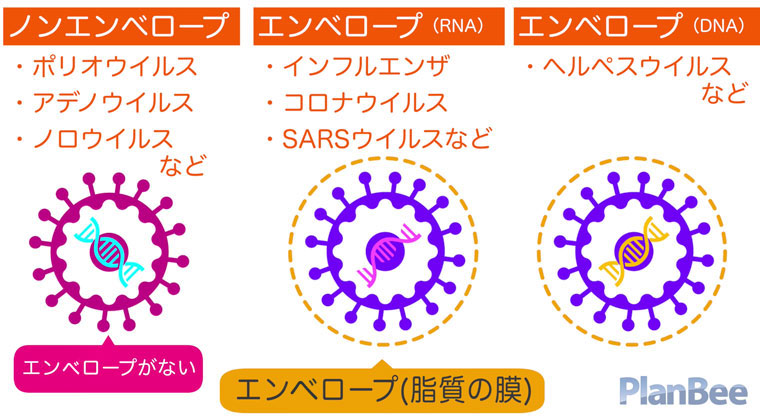 エンベロープとノンエベロープのウイルス